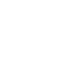 automobile